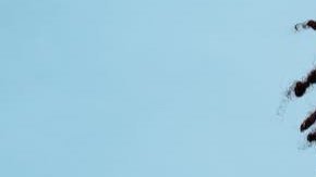 attachment-63655a56588fd16d9ea7200b