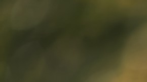 I need a guidebook to life