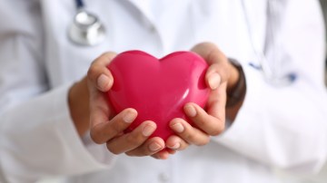 Female doctor hold in arms and cover red toy heart closeup. Cardio therapeutist student education CPR 911 life save physician make cardiac physical pulse rate measure arrhythmia lifestyle