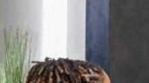 hbcu_panel_1200x1200