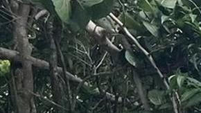 Resized to 1200x1200