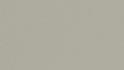 Updated Headshot Reggie Scott