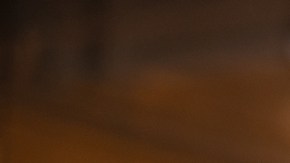 An African-American black woman smiles while looking at a laptop. Coworking for business and work, favorable price, good news for the student