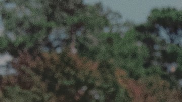 356252001230-R1-E002