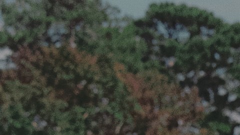 356252001230-R1-E002