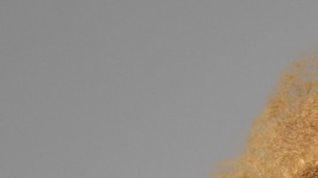 Frazier_Arnika_015-0219 (1)